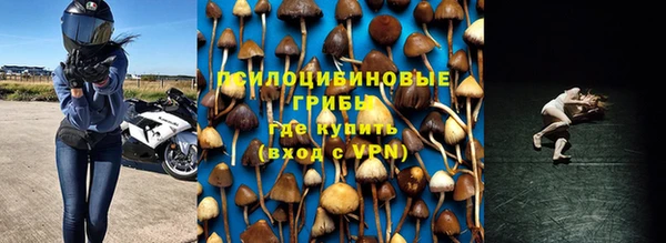 стафф Алексеевка