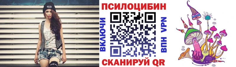 как найти   Искитим  Псилоцибиновые грибы MAGIC MUSHROOMS 