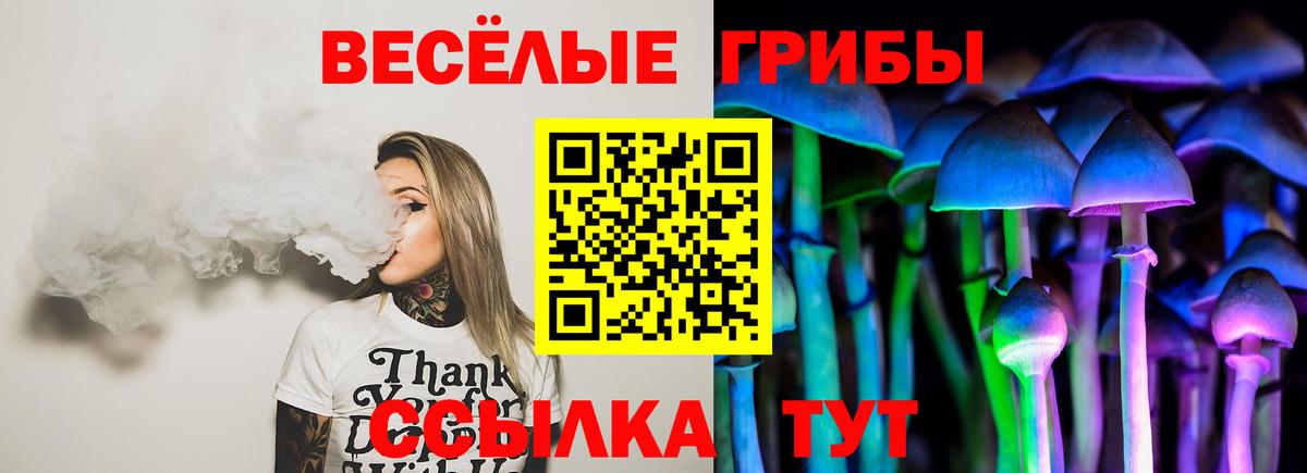 Искитим  Галлюциногенные грибы Magic Shrooms  Вход с VPN 