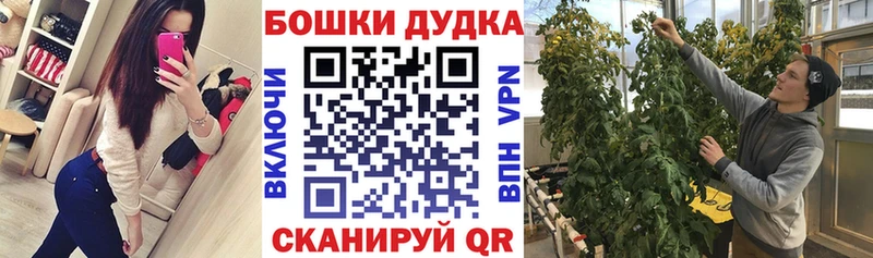 Бошки марихуана AK-47  ОМГ ОМГ ТОР  Искитим 